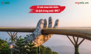Có nên mua bảo hiểm du lịch trong nước MIC