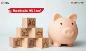 Mua bảo hiểm MIC ở đâu