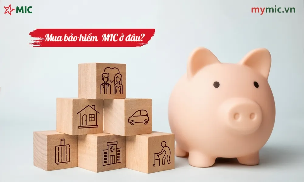 Mua bảo hiểm MIC ở đâu? 1 Mua bảo hiểm MIC ở đâu