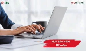Mua bảo hiểm MIC online
