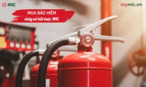 Mua bảo hiểm cháy nổ bắt buộc MIC
