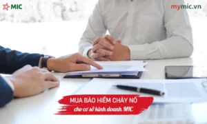 Mua bảo hiểm cháy nổ cho cơ sở kinh doanh MIC