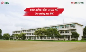 Mua bảo hiểm cháy nổ cho trường học MIC