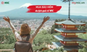 Mua bảo hiểm du lịch quốc tế MIC