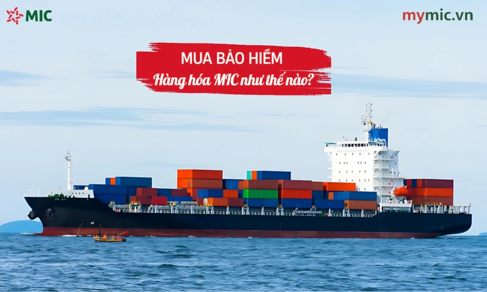 Mua bảo hiểm hàng hóa MIC như thế nào