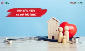Mua bảo hiểm sức khỏe MIC ở đâu