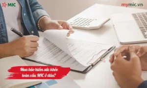 Mua bảo hiểm sức khỏe toàn cầu MIC ở đâu