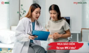Mua bảo hiểm tai nạn MIC ở đâu