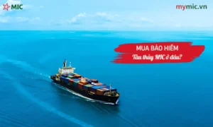 Mua bảo hiểm tàu thủy MIC ở đâu