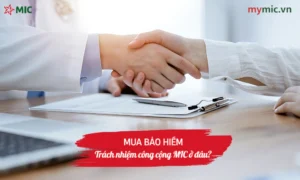 Mua bảo hiểm trách nhiệm công cộng MIC ở đâu