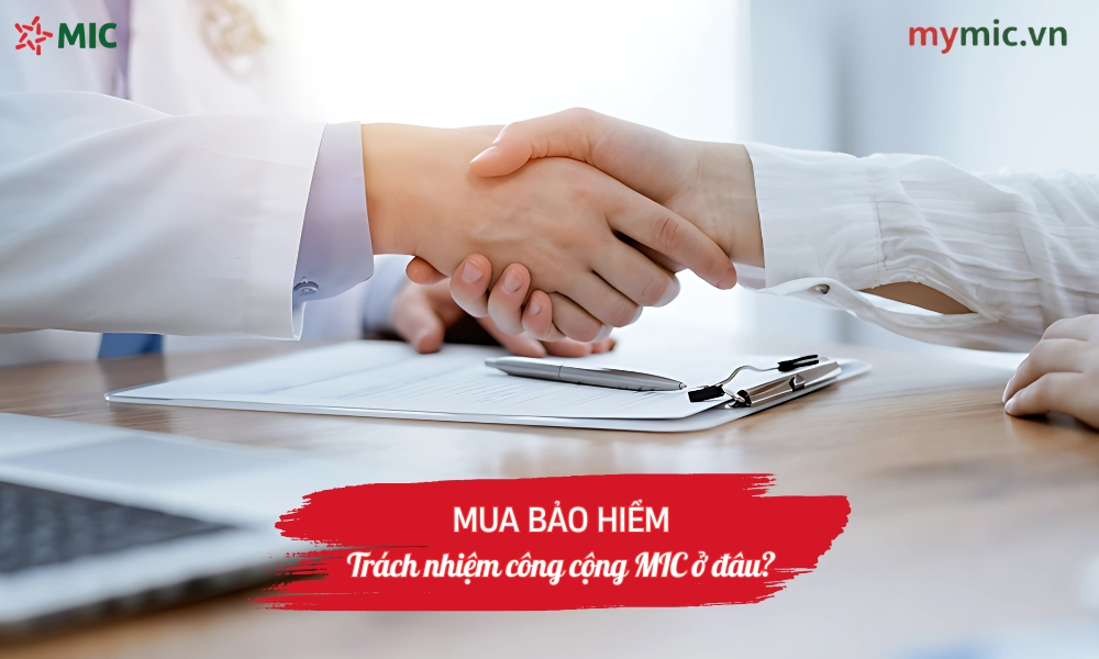 Mua bảo hiểm trách nhiệm công cộng MIC ở đâu