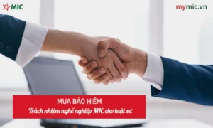 Mua bảo hiểm trách nhiệm nghề nghiệp MIC cho luật sư