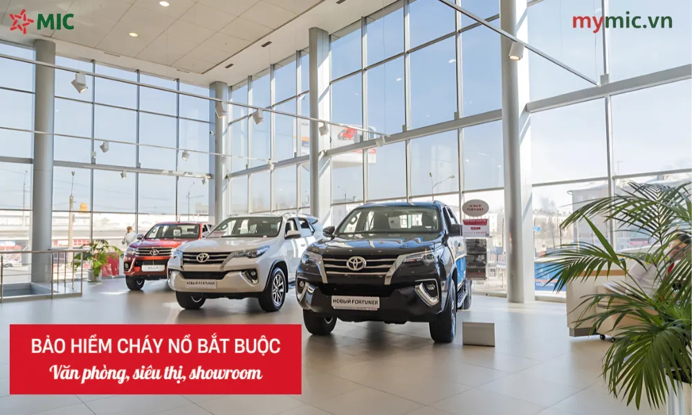 Bảo hiểm cháy nổ bắt buộc văn phòng, siêu thị, showroom