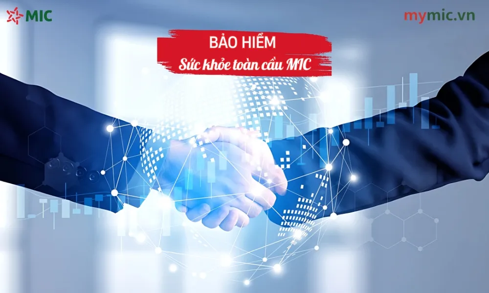 Bảo hiểm sức khỏe toàn cầu MIC