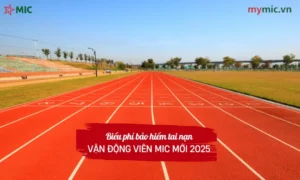 Biểu phí bảo hiểm tai nạn vận động viên MIC mới 2025