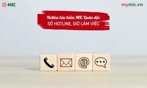 Hotline bảo hiểm MIC Quân đội: Số Hotline, giờ làm việc