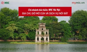 Chi nhánh bảo hiểm MIC Hà Nội - Địa chỉ, giờ mở cửa và dịch vụ nổi bật